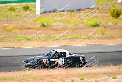media/May-05-2024-Lucky Dog Racing (Sun) [[8a365fce5b]]/945am-Turn 5/